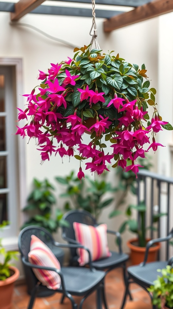 A vibrant hanging fuchsia plant with bright pink flowers in a cozy patio setting with chairs and cushions